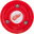 NHL, Detroit Red Wings