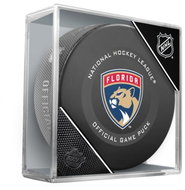 InGlasCo NHL Official Game Puck, 1pc, Florida Panthers - Puck