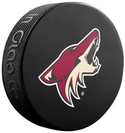 InGlasCo NHL Logo Blister 1 piece Arizona Coyotes - Puck
