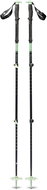 Black Diamond Expedition 3 Ski Poles Desert Sage 125 cm - Trekking Poles