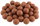 Spicy Gingerbread with Krill, 20mm Diameter, 1kg