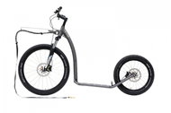 Dice Mushing Max (G6) Limited Edition Antic Silver - Scooter
