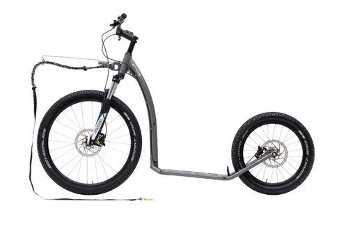Dice Mushing Max (G6) Limited Edition Antic Silver - Scooter - Main image