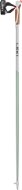 Leki Passion smokegreen-white-dark anthracite 120 cm - Nordic Walking Poles