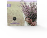 Leros Dárková kazeta Děkuji 6 × 5 sáčků - Gift Set