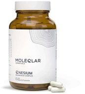 MOLEQLAR® QNESIUM, 120 capsules - Magnesium
