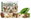 Mixit Oven Nuts - Bear Garlic