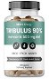 MOVit Tribulus 90 % Kotvičník 500 mg 4v1, 90 kapslí - Doplněk stravy