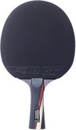 Donic Zentra Next Carbon blade - Table Tennis Paddle