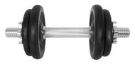 LifeFit Dumbbell 10kg, 4x plate - Činka