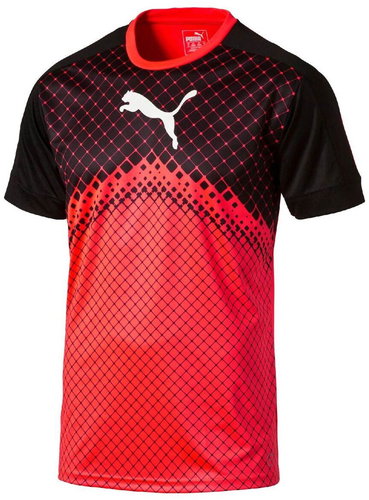 Puma IT EvoTRG Graphic Tee Red Blas S - T-Shirt - Main image