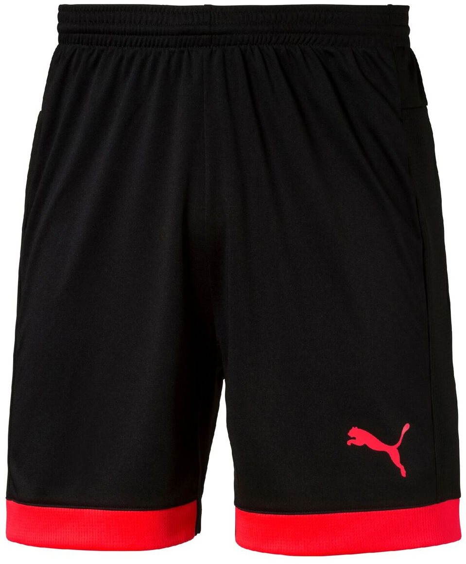 Puma sales evotrg shorts