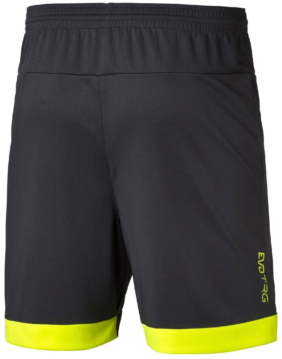 Puma cheap evotrg shorts