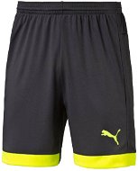 Puma IT EvoTRG Shorts Asphalt Safet-XL - Shorts