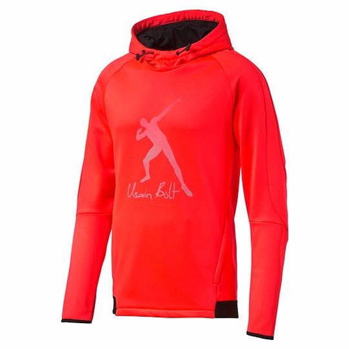 Puma UB Evostripe Logo Hoody Red Bl M - Sweatshirt - Main image
