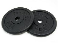 Gym Weight Master disc 5 kg metal pair - Závaží na činky