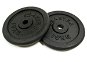 Gym Weight Master disc 10 kg metal pair - Závaží na činky