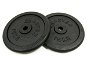Gym Weight Master disc 15 kg metal pair - Závaží na činky
