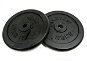 Gym Weight Master disc 20 kg metal pair - Závaží na činky