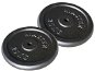 Gym Weight Master disc 25 kg metal pair - Závaží na činky
