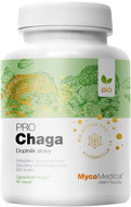 Mycomedica BIO Chaga PRO 90 kapslí - Chaga