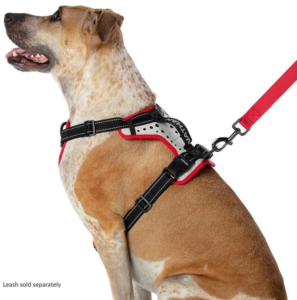 Canicross hotsell dog harness