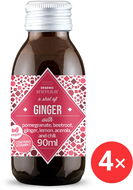Organic Human Ginger zázvorový shot BIO 4 x 90 ml - Nápoj
