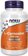 NOW L-Karnosin, 500 mg - Aminokyseliny