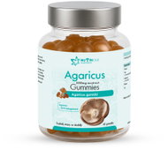 Nutricius Agaricus 500 mg 60 gummies - Dietary Supplement