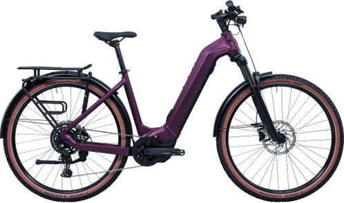 Hercules NOS SUV 3.2 48 ultimacy bordeaux-matt - Electric Bike - Main image