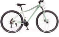 Olpran Rosa 29" 18" Mint - Mountain Bike