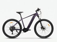 Olpran Champion Over 29" purple - Electric Bike