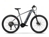 Olpran Champion Over 29" grey 19" - Electric Bike