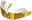 Solids, gold/white