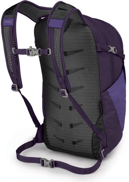 Osprey daylite outlet purple