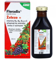SALUS Floradix 250 ml - Iron