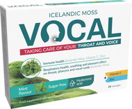 Vocal HA Sugar-free Mint Lozenges 24 pcs - Herbal Lozenges