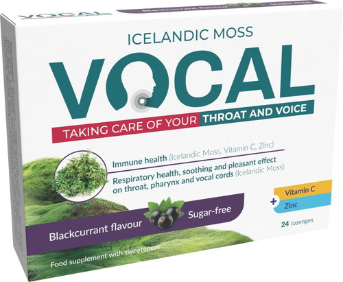 Vocal Blackcurrant sugar-free lozenges 24 pcs - Herbal Lozenges - Main image