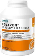 EQUAZEN 360 capsules - Omega 3