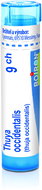 Thuya Occidentalis 9CH granules 3 × 4 g, 3 tubes - Homeopathic Remedies