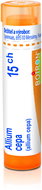 Allium Cepa 15CH granules 4 g - Homeopathic Remedies
