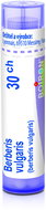 Berberis Vulgaris 30CH granules 4 g - Homeopathic Remedies