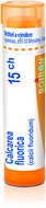 Calcarea Fluorica 15CH granules 4 g - Homeopathic Remedies