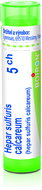 Hepar Sulfuris Calcareum 5CH granules 4 g - Homeopathic Remedies