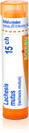 Lachesis Mutus 15CH granules 4 g - Homeopathic Remedies