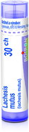 Lachesis Mutus 30CH granules 4 g - Homeopathic Remedies