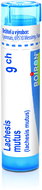 Lachesis Mutus 9CH granules 4 g - Homeopathic Remedies