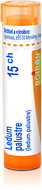 Ledum Palustre 15CH granules 4 g - Homeopathic Remedies