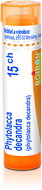 Phytolacca Decandra 15CH granules 4 g - Homeopathic Remedies