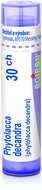 Phytolacca Decandra 30CH granules 4 g - Homeopathic Remedies